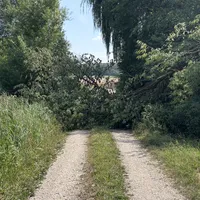 IMG_5787.jpeg