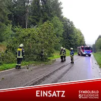 Symbolbild-THL-Baum-01.jpg
