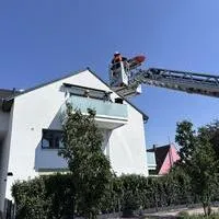 IMG_5753.jpeg